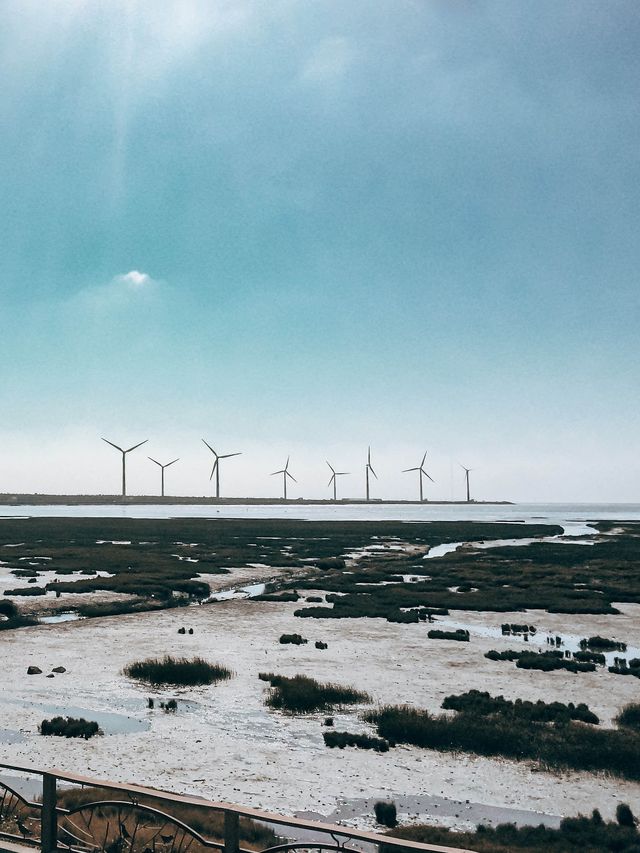 踏進台灣治癒天然美景之地👣
