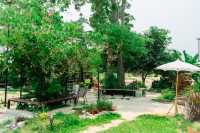 BACK HOUSE CAFE’ 