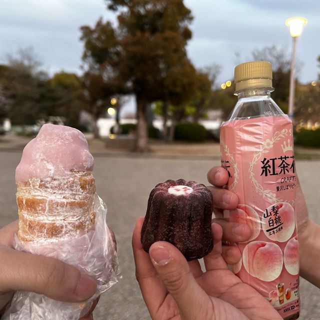 날씨 좋은 날 오사카성&오사카성 공원에서