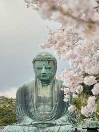 🇯🇵｜A day tour at Kamakura