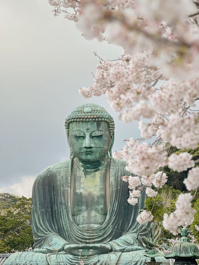 🇯🇵｜A day tour at Kamakura