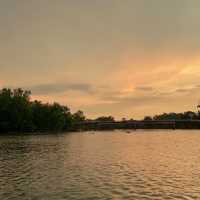 ล่องเรือ ชมหิ่งห้อยแม่น้ำตาปี ยามเย็น