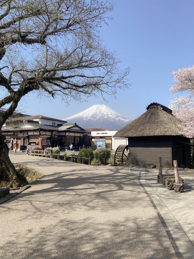 Oshino Hakkai Village