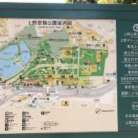 櫻花🌸盛放之時👍🏻必去上野恩賜公園👌🏻家庭一日遊😆日本🗾人最愛之地