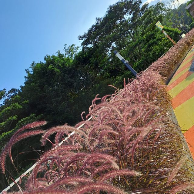 深圳冬瓜嶺站❤️‍🔥深業上城❤️‍🔥港人最愛打卡地