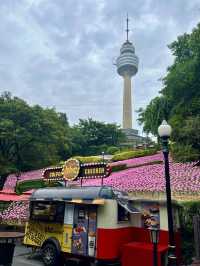 Where Dreams come true 365일 추억을 만드는 곳으로 초대합니다 :)