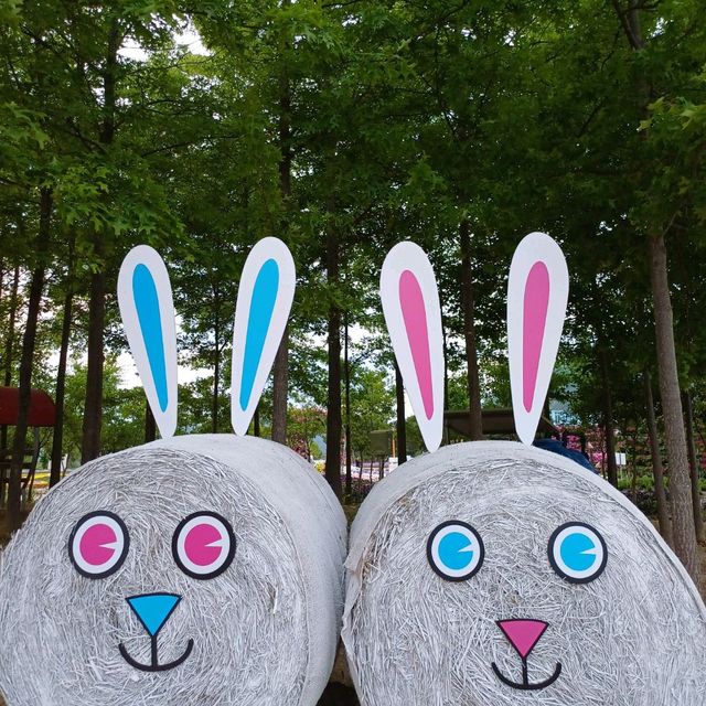 자라섬의 꽃잔치