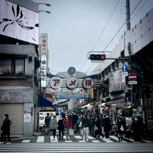 Ameyoko Shopping Street, Tokyo, Japan 🇯🇵🎌