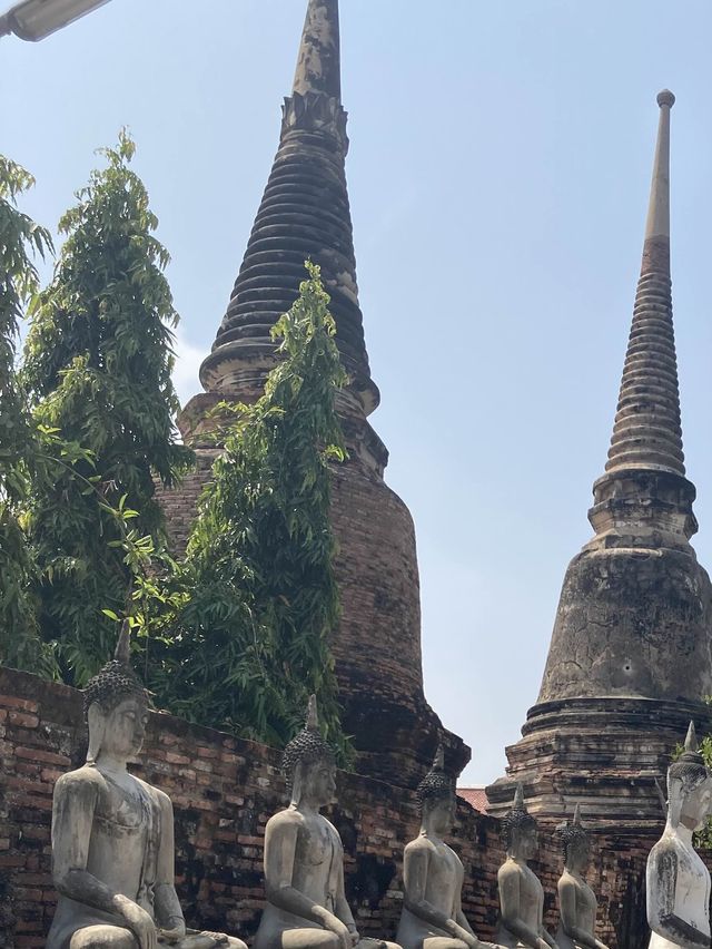 มาอยุธยาอันดับแรกต้องได้ไหว้พระ ’วัดใหญ่ชัยมงคล’