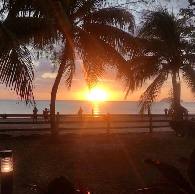 Enjoy Your Meal while Enjoying the View