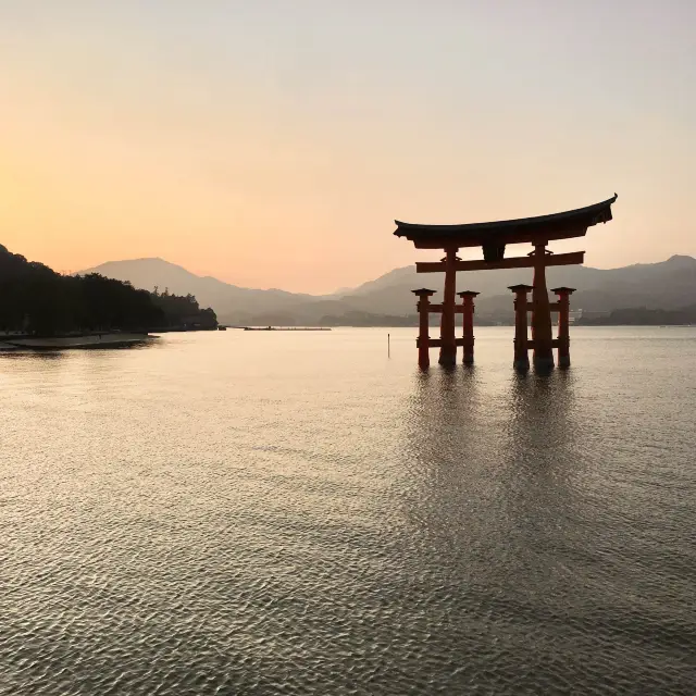 日本三景之一！超巨大打卡鳥居 ⛩️