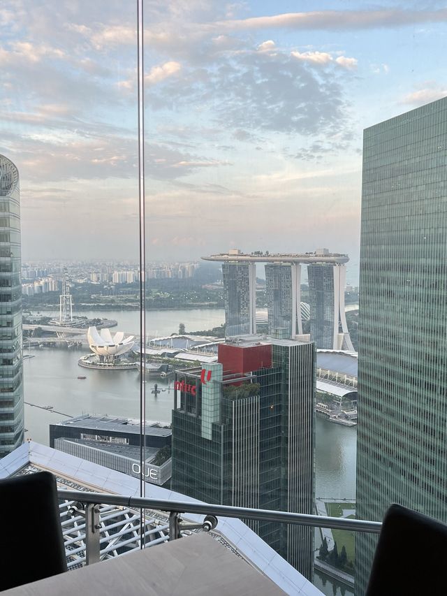 【🦁 新加坡fine dining】高空打卡西餐廳！