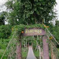 จุดกางเต็นท์ลำตะคอง - เขาใหญ่
