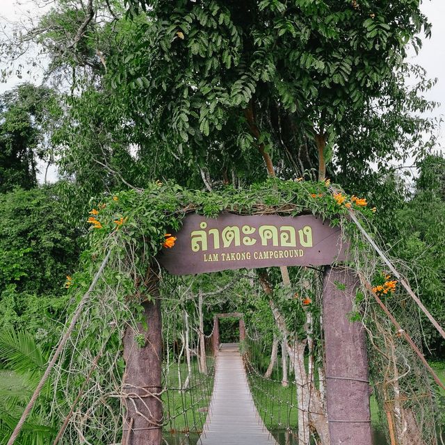 จุดกางเต็นท์ลำตะคอง - เขาใหญ่