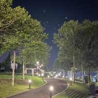 ECO SPRING LABS ON NIGHT VIEW