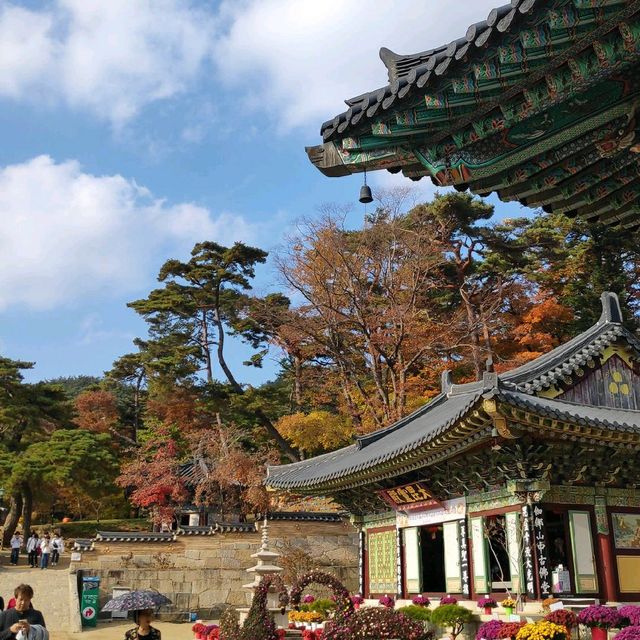 천년의 역사가 깃든 합천 해인사