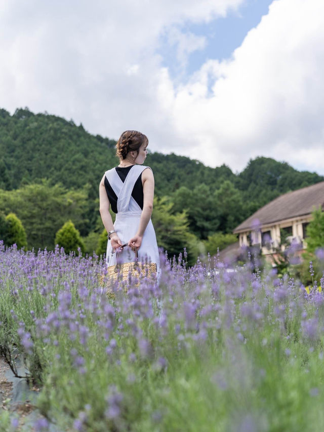 【岡山県/蒜山】期間限定マスキングテープに彩られた街