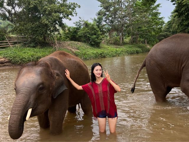 하룻동안 코끼리의 친구가 될 수 있는 치앙마이 Kerchor elephant eco park