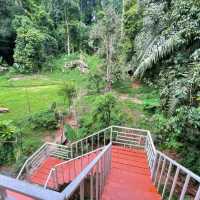 Tropical Cafe' SaiThai Krabi