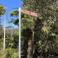 Scenic World 