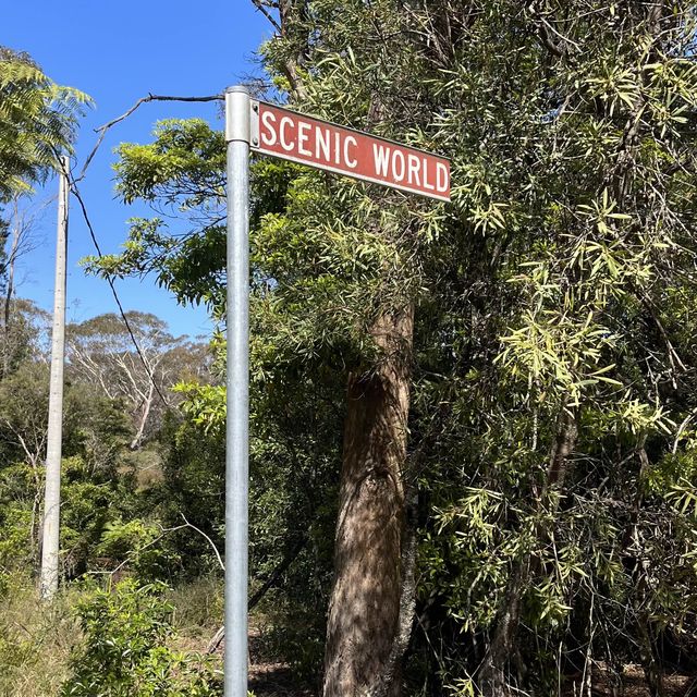 Scenic World 