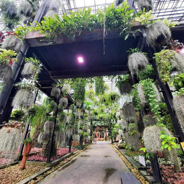 สวนนงนุชพัทยา สวนนงนุชพัทยา