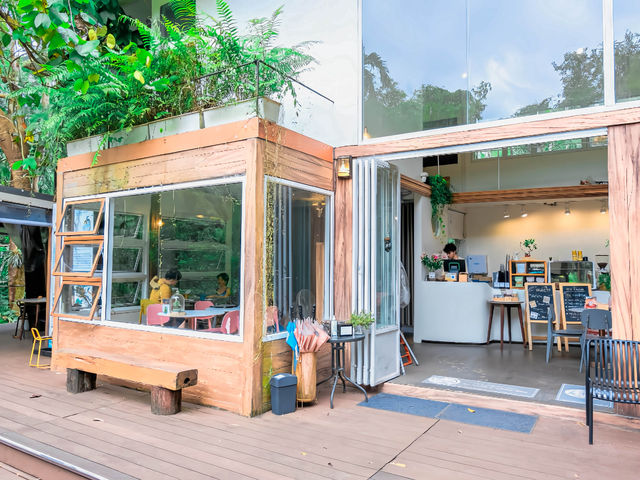 คาเฟ่ท่ามกลางธรมชาติ คาเฟ่ในหมง ระนอง