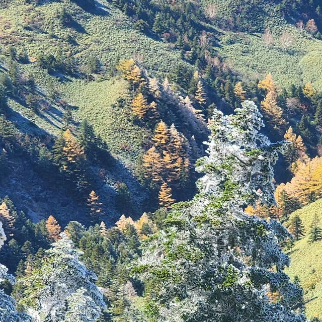 明池國家森林遊樂區 🌲🏞️天然寶庫🌳🌄