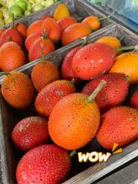 The Largest Superfruit Farm in Malaysia!