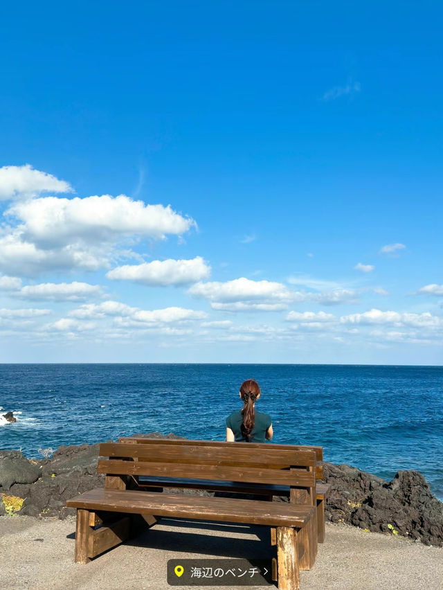 【保存版】羽田から55分✈️常春の島で絶景を満喫🏝八丈島2泊3日モデルコース