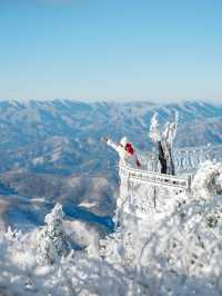 새하얀 눈꽃의 천국 발왕산 상고대❄️