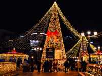 งานประดับไฟต้นคริสต์มาสที่ฟุกุโอกะ🎄