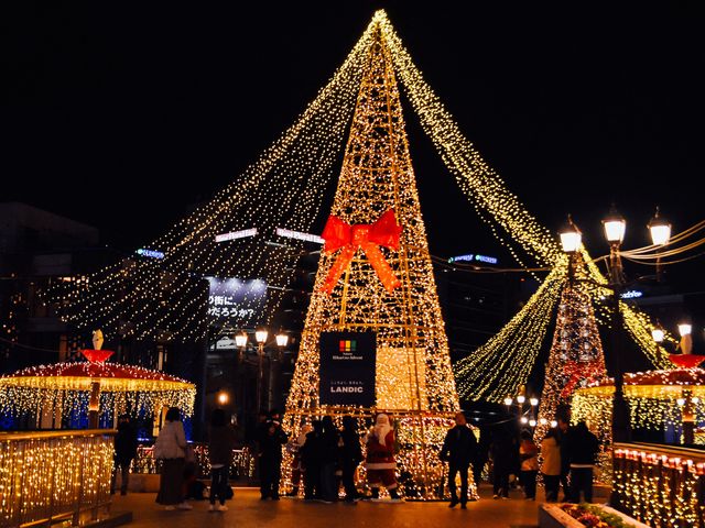 งานประดับไฟต้นคริสต์มาสที่ฟุกุโอกะ🎄