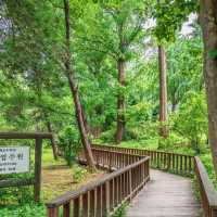 Seoul is filled with cultural heritage