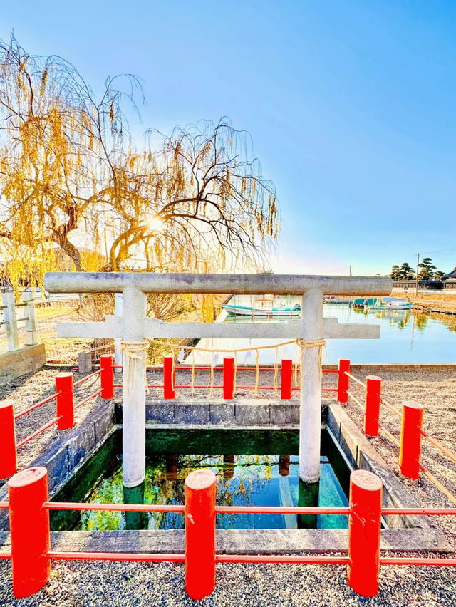 2024年初詣⛩🐉🎍