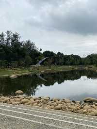 桃園 大湳森林公園🌳 綠色空閒大地