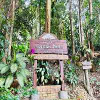 เชสท์นัท ฮิลล์ อีโค่ รีสอร์ท & คาเฟ่