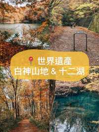 🇯🇵日本青森👣世界遺產 白神山地&十二湖 楓葉的顏色太美了😳