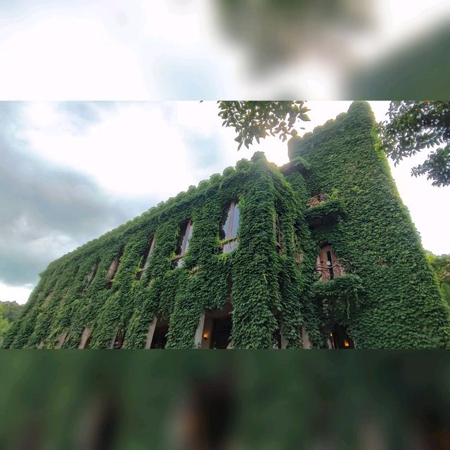 苗栗必去歐式古堡餐廳😍