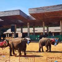 Elephant World