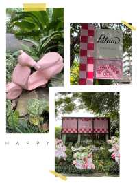 曼谷網紅打卡Pink RosaCafe✖️Patom Organic Living
