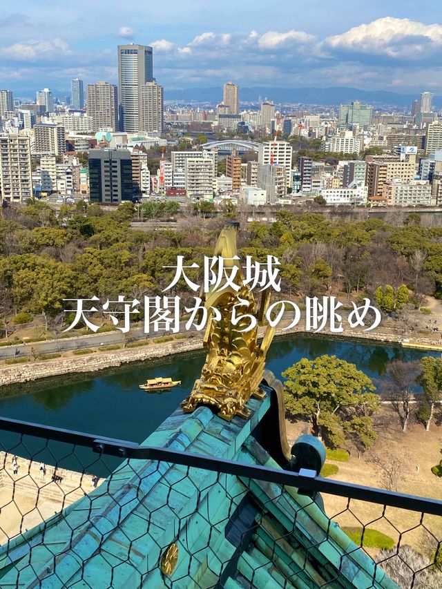 天守閣からの眺めはまるで天下人になった気分