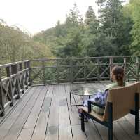 【箱根】至れり尽くせり強羅の老舗旅館で癒しの時間