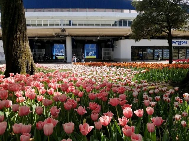 Yokohama Park