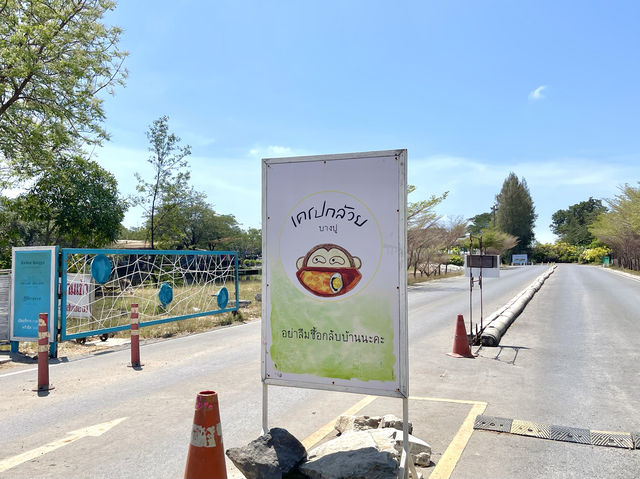 “เครปกล้วยบางปู” ร้านน่ารัก เค้กอร่อย