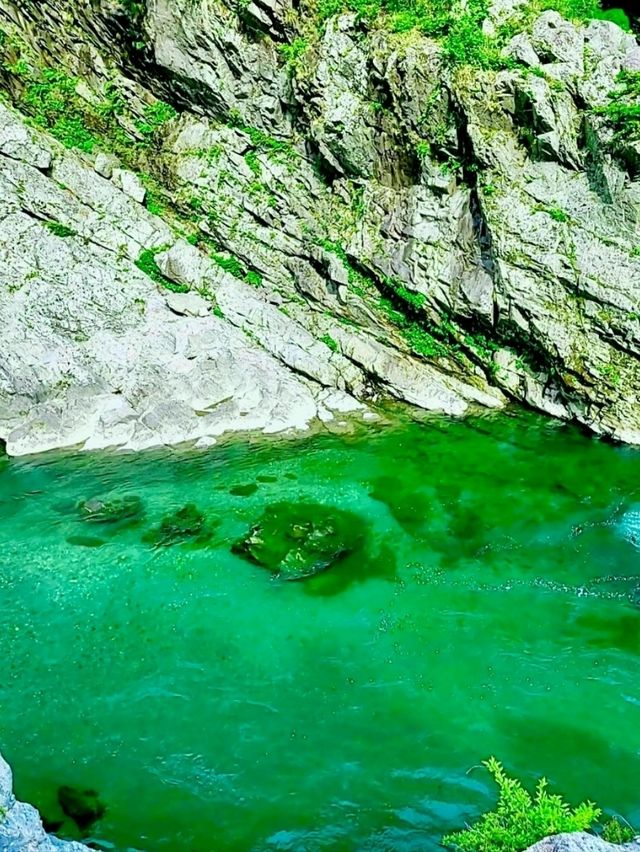 【徳島/秘境】酷道必須で、到着困難😵‍💫まだ貴方の知らない徳島の秘境スポット🔥🔥🚗🗯️