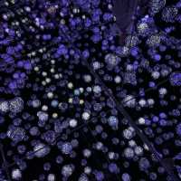 Immerse in teamLab Borderless, Tokyo