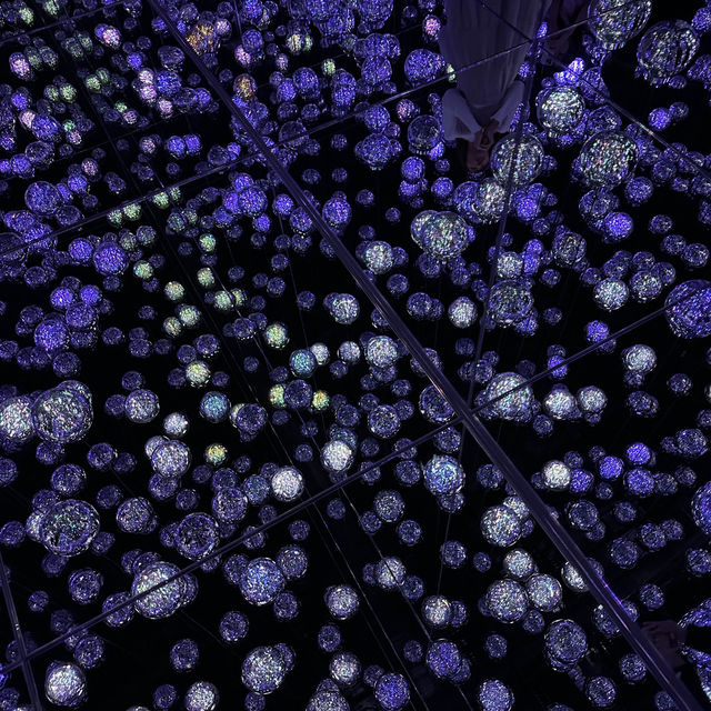 Immerse in teamLab Borderless, Tokyo