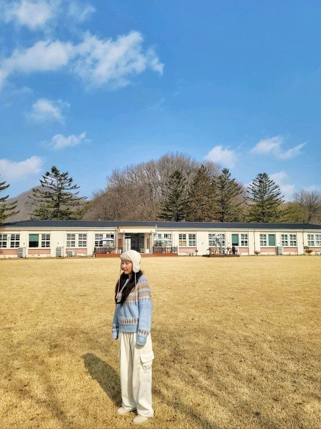 동심의 세계로 돌아간듯 폐교가 변신한 힐링카페☕️