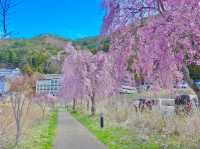 Arakurayama Sengen Park 